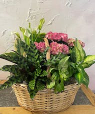 Large Blooming Basket with Hydrangea