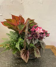 Vibrant Foliage Plant Basket