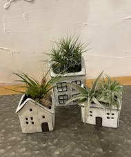 House planter trio