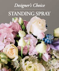 Standing Spray